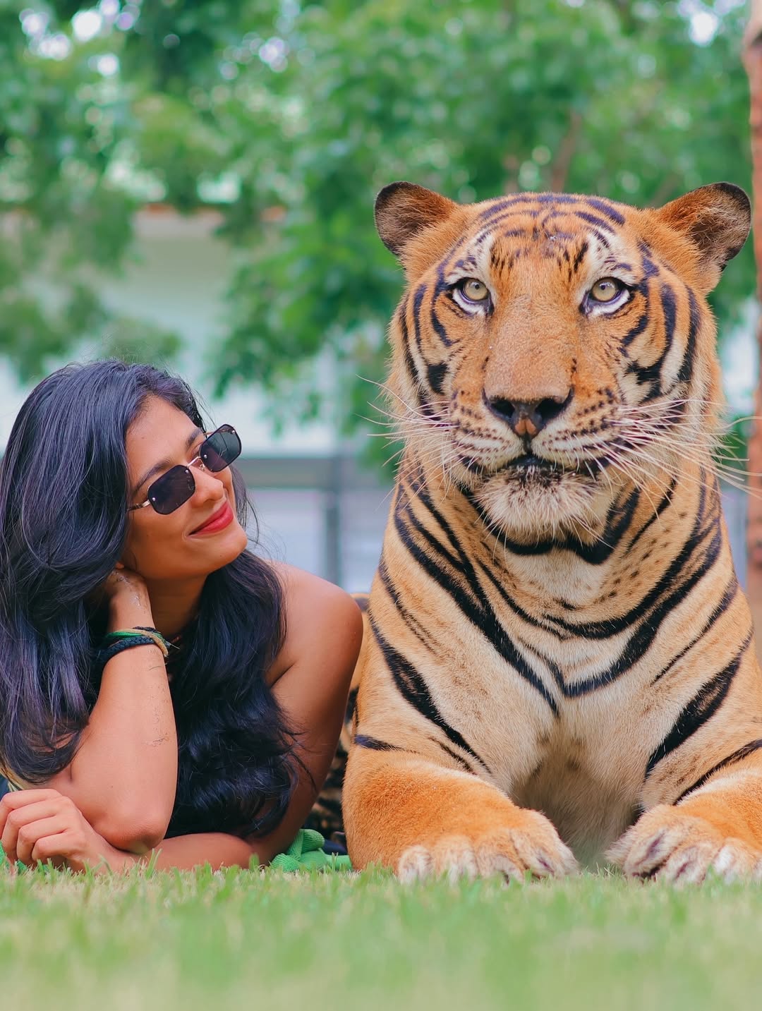 Tiger Park