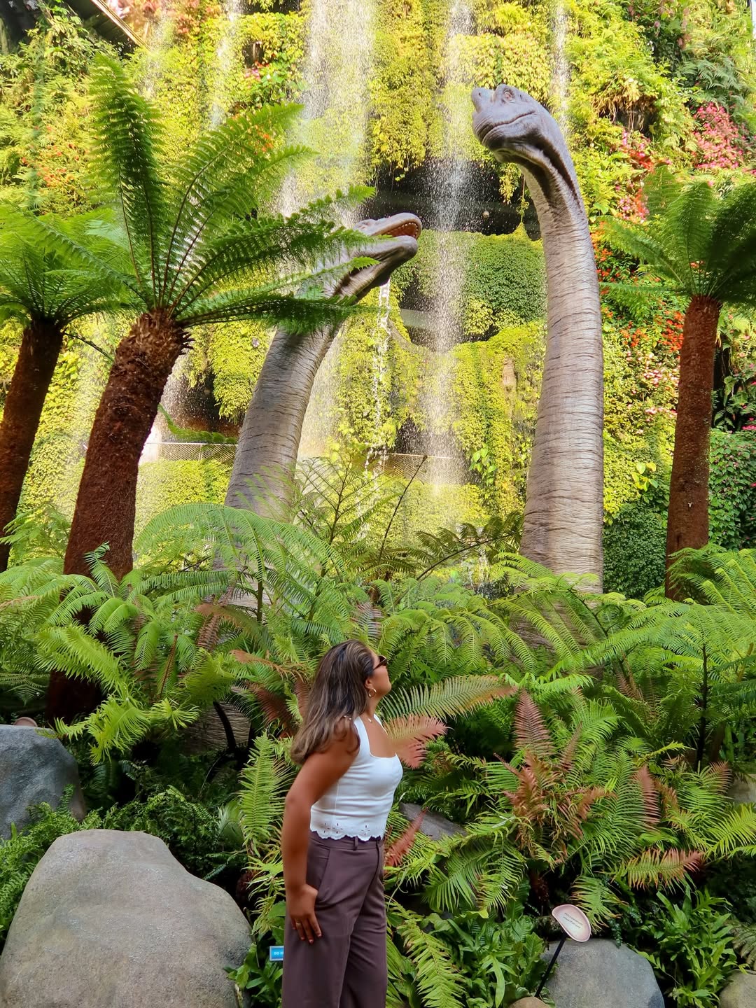 Cloud Forest