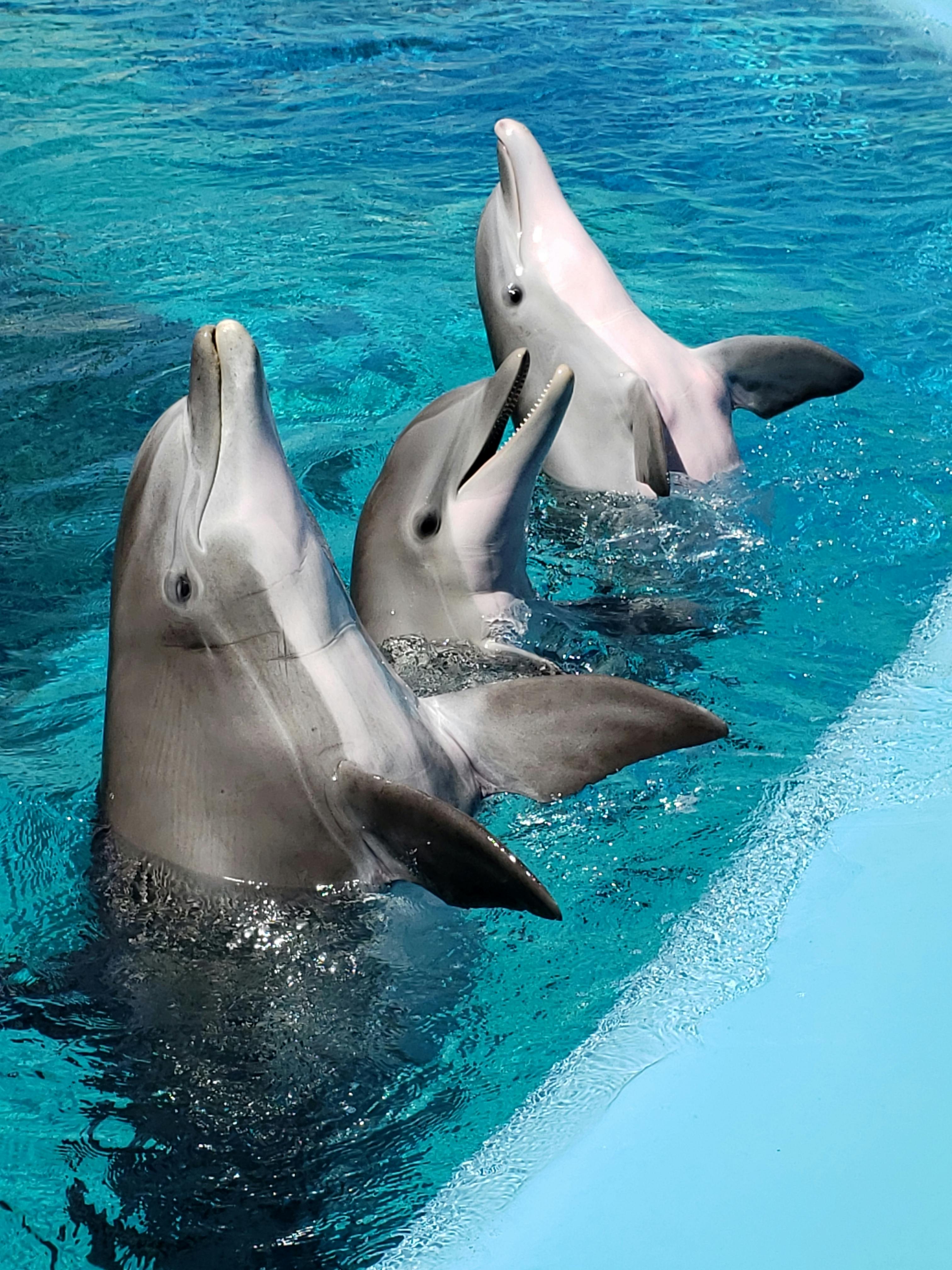 Marine Park
